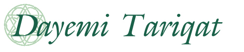 dayemi_net_logo.jpg